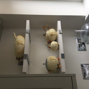 ian さんが購入した商品の写真を追加しました