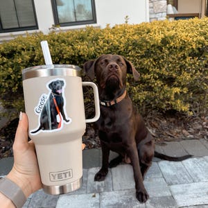 Emelly added a photo of their purchase