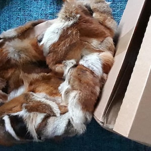 Mavis added a photo of their purchase