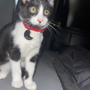 ahepburn16 added a photo of their purchase