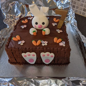 Edible Cake Decoration Bunny Head Paws Feet Etsy Australia