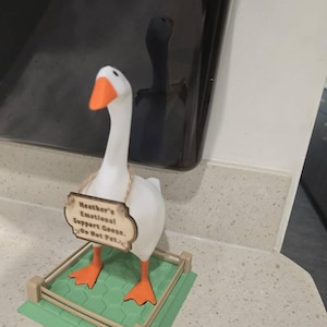 H added a photo of their purchase