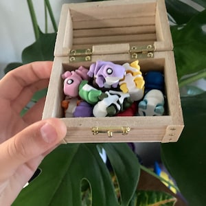 Leila added a photo of their purchase