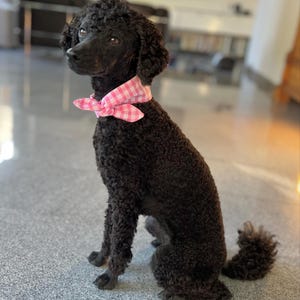 Iris ha añadido una foto de su compra