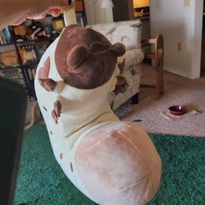 fwmp added a photo of their purchase