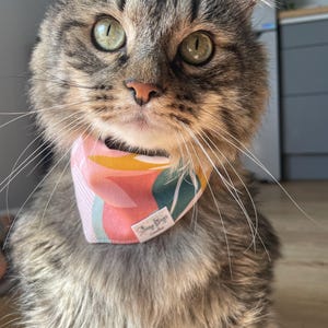 Clara さんが購入した商品の写真を追加しました