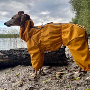 Hazel added a photo of their purchase
