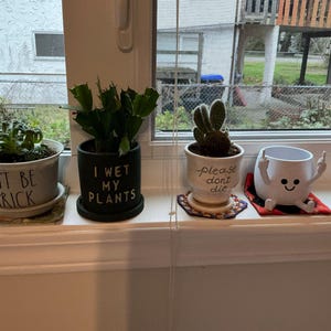 Mare added a photo of their purchase