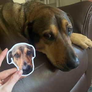 Cora hat ein Foto des gekauften Artikels hinzugefügt