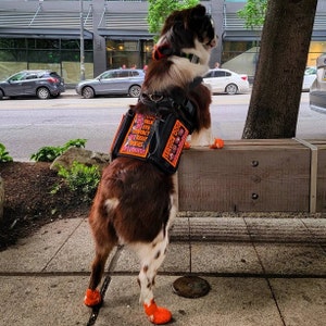 Mason added a photo of their purchase