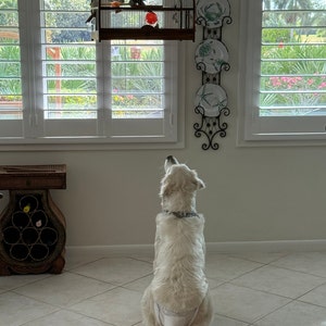 Lisa added a photo of their purchase