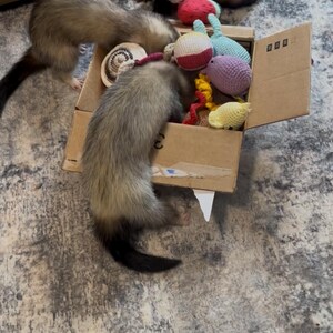 Sara hat ein Foto des gekauften Artikels hinzugefügt