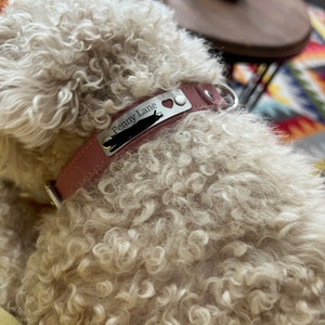 Personalized Engraved Dog Collar Leather Dog Collar Engraved - Etsy