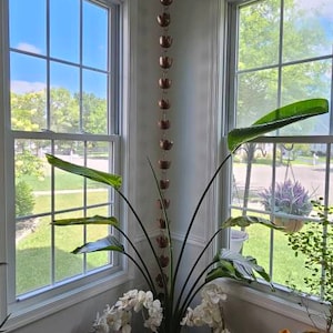 Anamika added a photo of their purchase