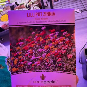 Lovely dodał(a) zdjęcie swoich zakupów