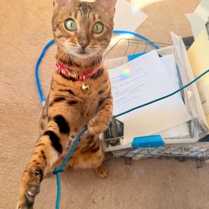 Sandra added a photo of their purchase