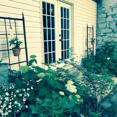 Mission Style Flower Trellis, Garden Support 72 X 24, Metal Climbing ...