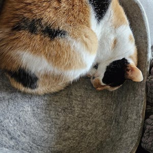 April heeft een foto van de aankoop toegevoegd