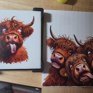 DAVID added a photo of their purchase