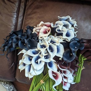 Karen added a photo of their purchase