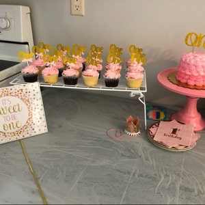 1st Birthday Party Sign First Birthday Party Decorations Pink and