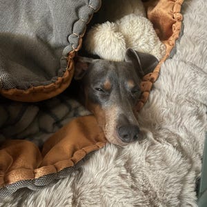 Jula ha añadido una foto de su compra