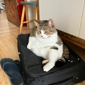 maude a ajouté une photo de son achat