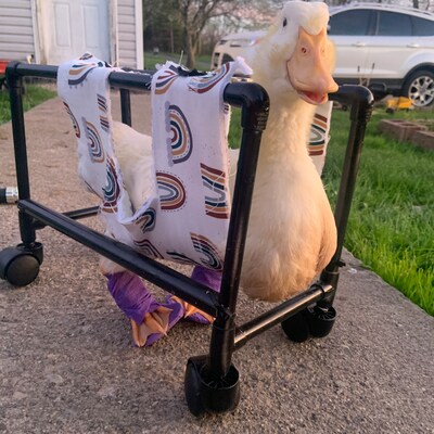 Duck Splint-customized to Your Size Needed SINGLE SPLINT - Etsy