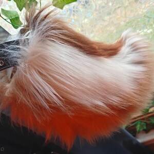 Echo added a photo of their purchase