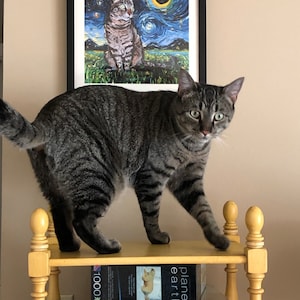 Tierza added a photo of their purchase