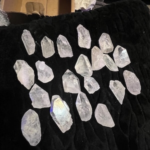 Samantha added a photo of their purchase