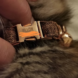 Sue added a photo of their purchase
