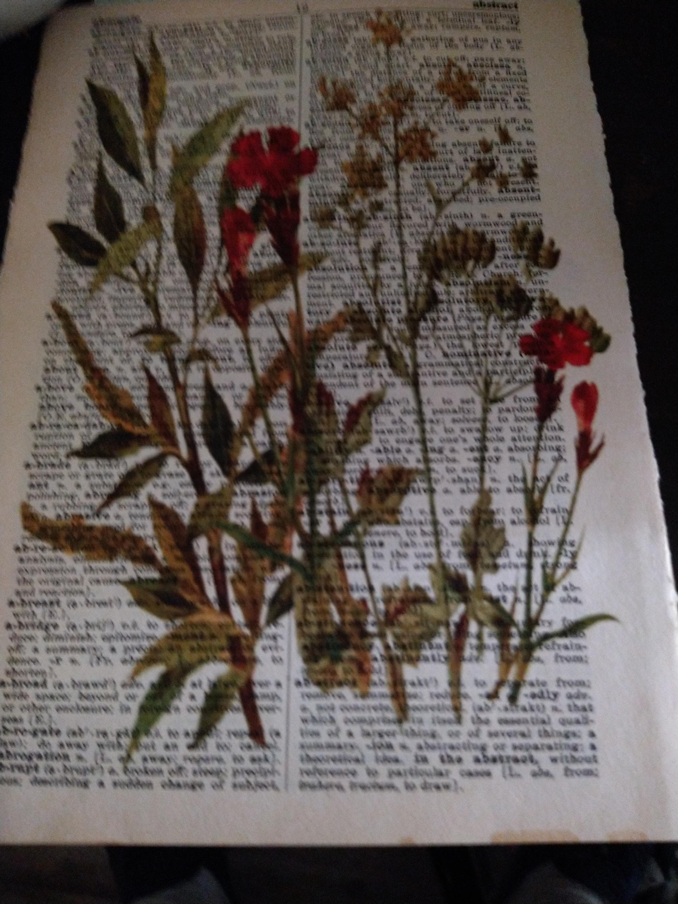 Flower Themed dictionary prints