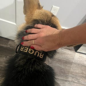Danielle added a photo of their purchase