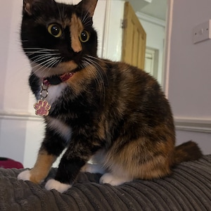 Chel added a photo of their purchase