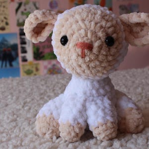 Rachel added a photo of their purchase