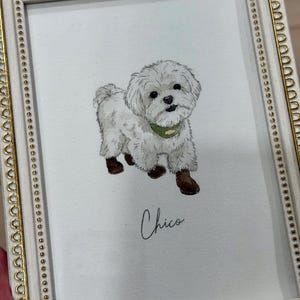 Chie added a photo of their purchase