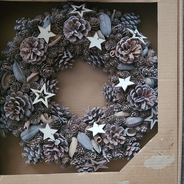 Hanging Moon Planter Room Decor Succulents Air Plant Mini Cactus