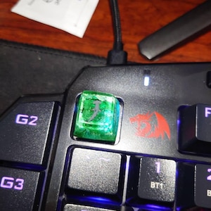 Otman added a photo of their purchase
