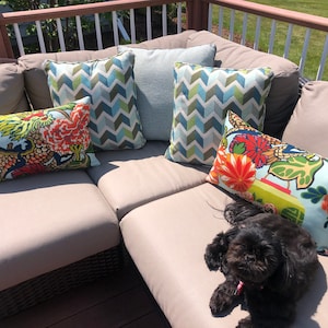 Sarah added a photo of their purchase
