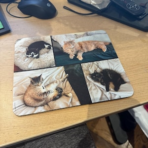 Erica added a photo of their purchase