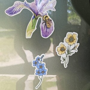 Megan ha añadido una foto de su compra