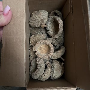 Susan a ajouté une photo de son achat
