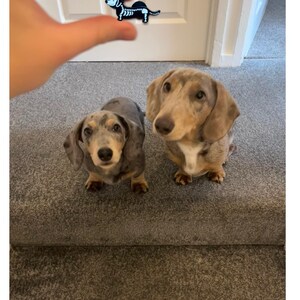 Jade added a photo of their purchase