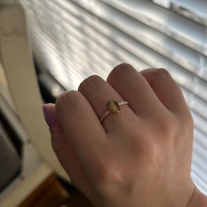 Alex さんが購入した商品の写真を追加しました