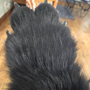 Gena added a photo of their purchase
