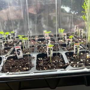 Bailey added a photo of their purchase