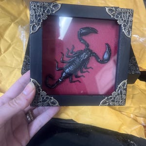 Michelle added a photo of their purchase