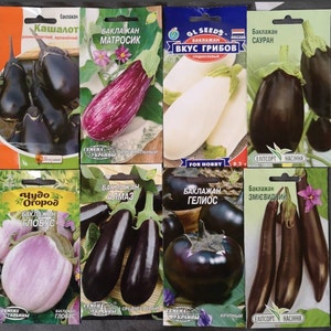 Tomato seed Riddle | Etsy