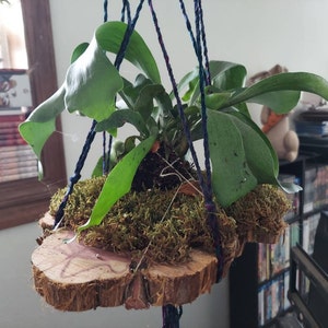 Elisa added a photo of their purchase